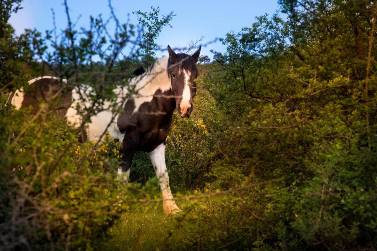 Hospedaje Rural Casa Parri Poveda de la Sierra Zewnętrze zdjęcie