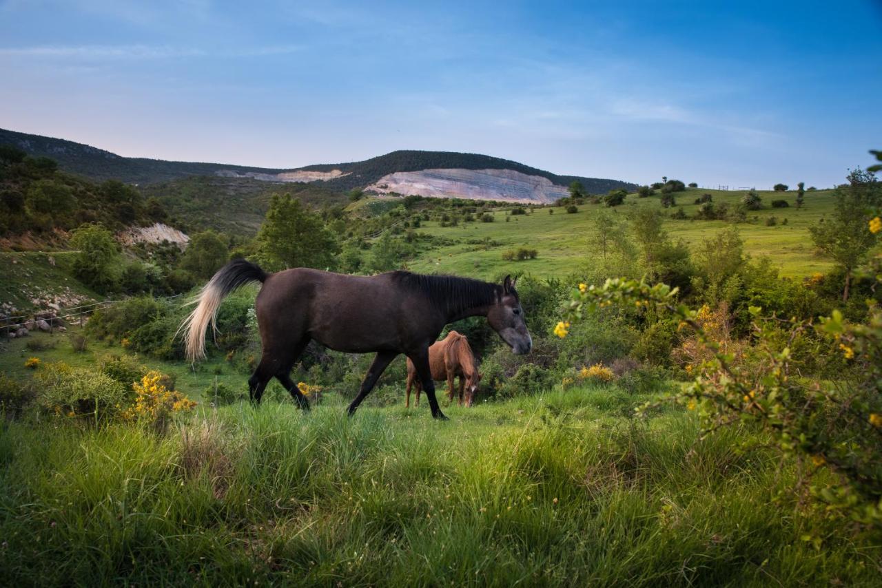 Hospedaje Rural Casa Parri Poveda de la Sierra Zewnętrze zdjęcie