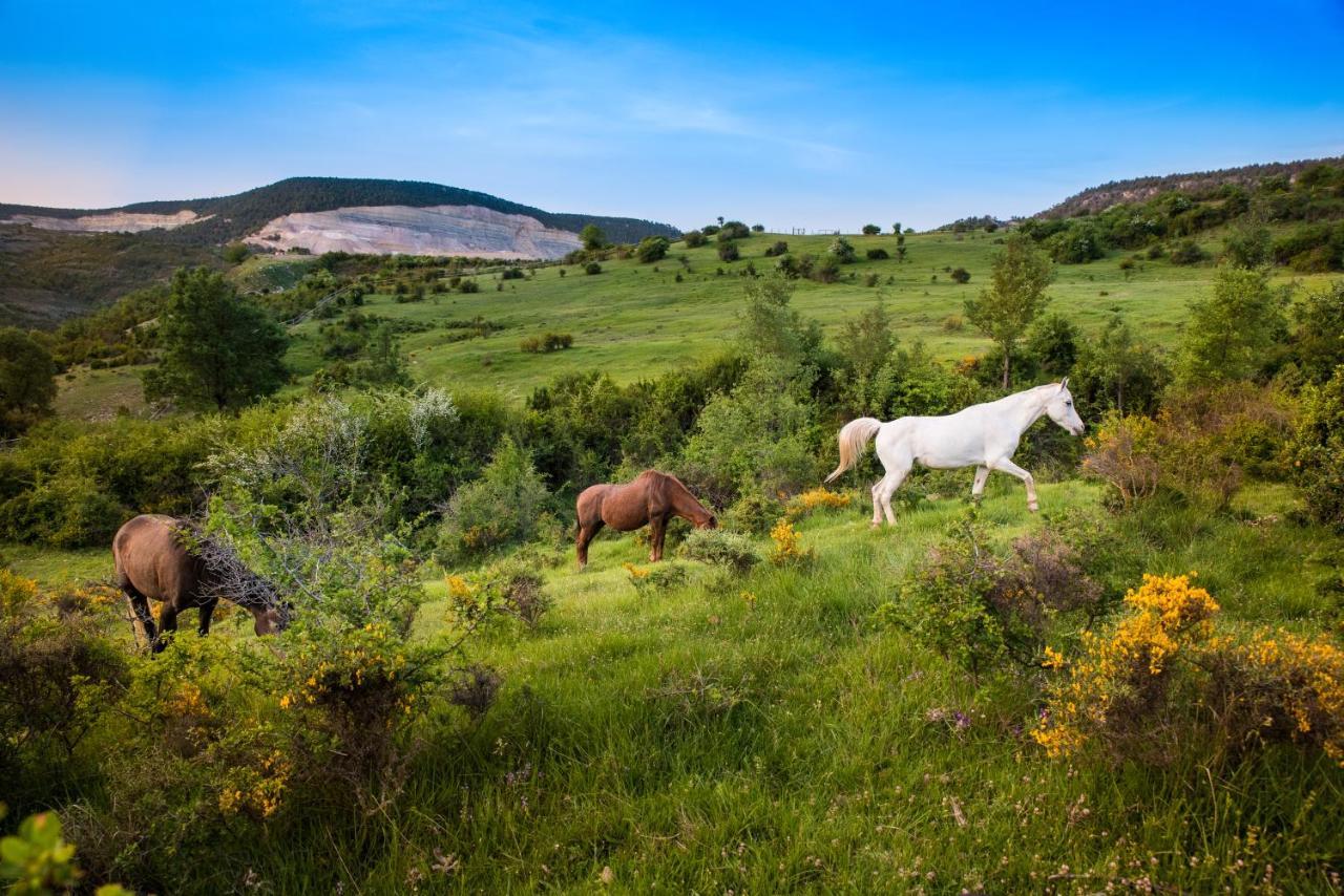Hospedaje Rural Casa Parri Poveda de la Sierra Zewnętrze zdjęcie