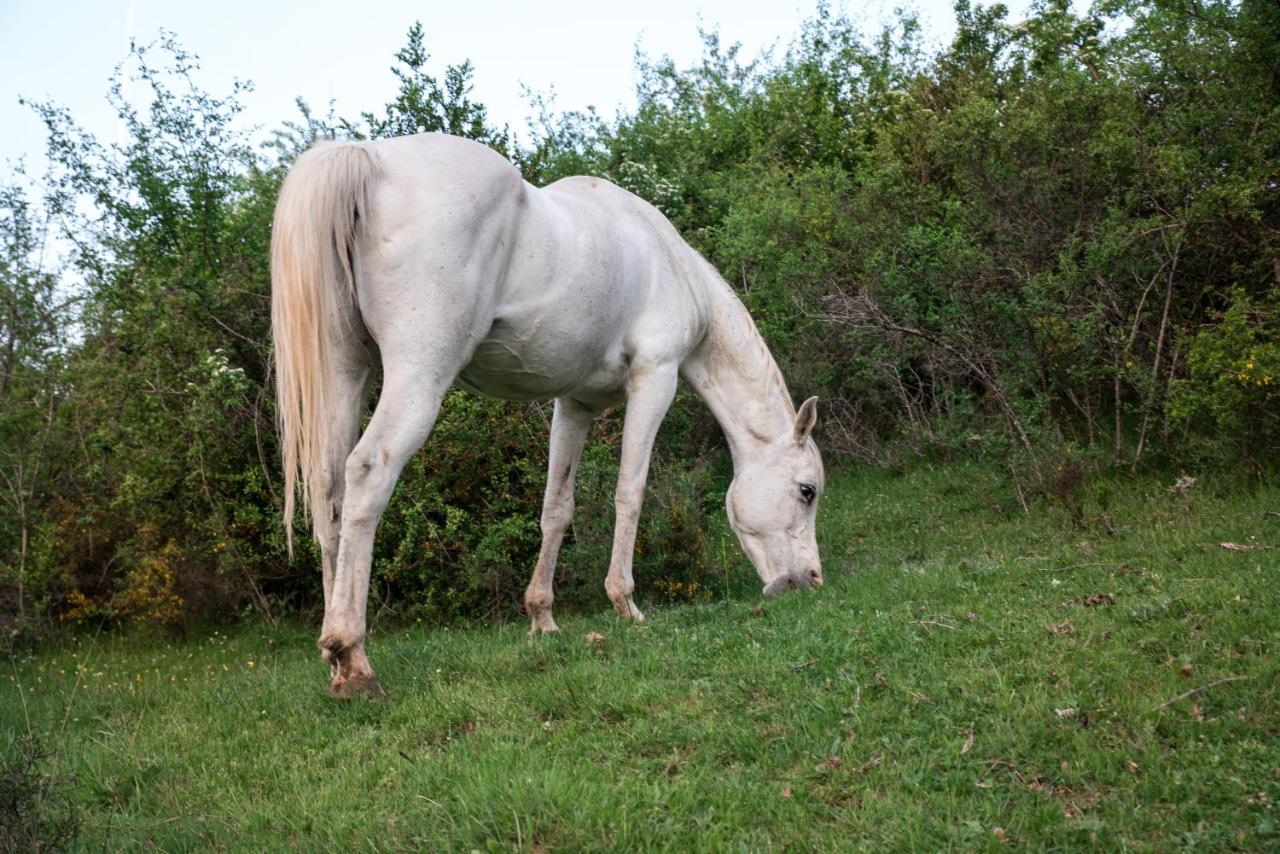 Hospedaje Rural Casa Parri Poveda de la Sierra Zewnętrze zdjęcie