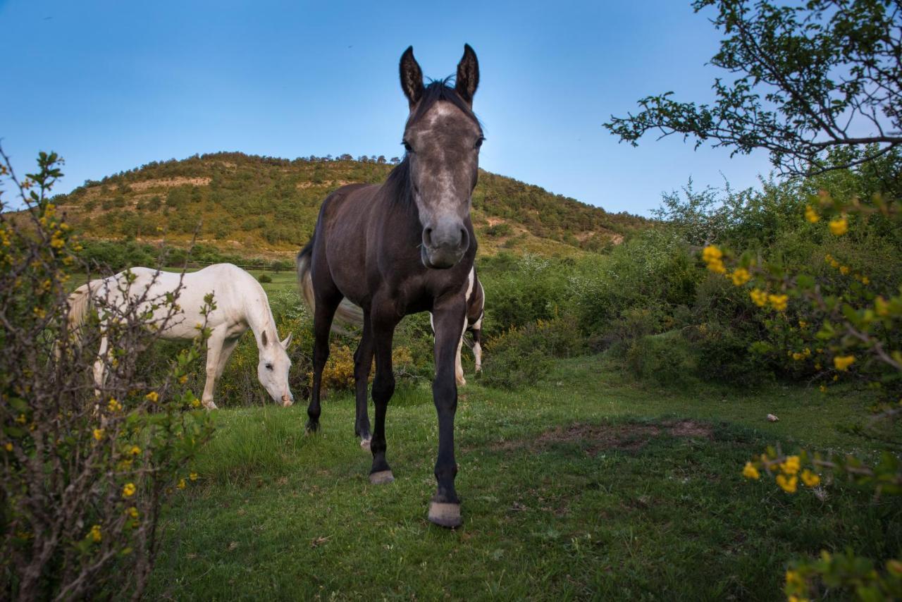 Hospedaje Rural Casa Parri Poveda de la Sierra Zewnętrze zdjęcie