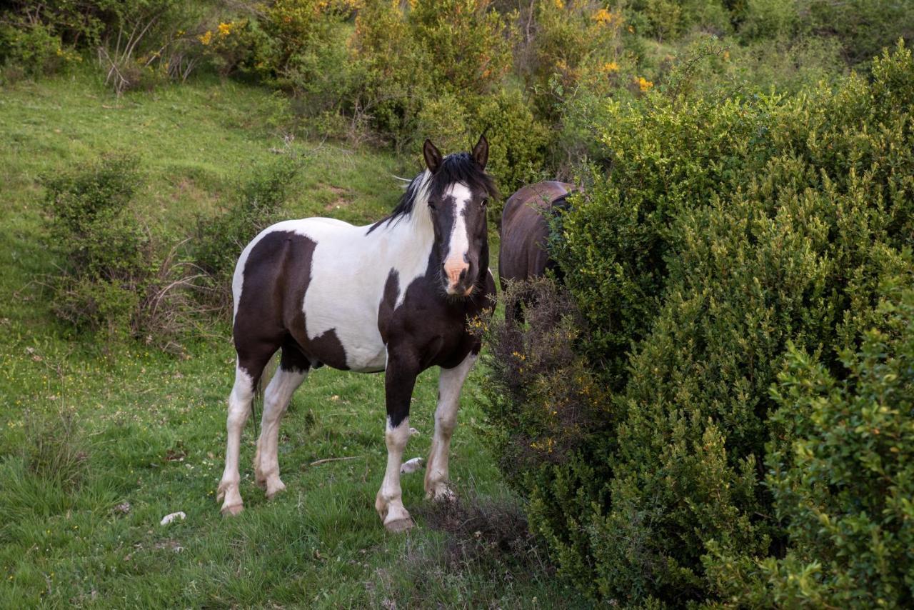 Hospedaje Rural Casa Parri Poveda de la Sierra Zewnętrze zdjęcie